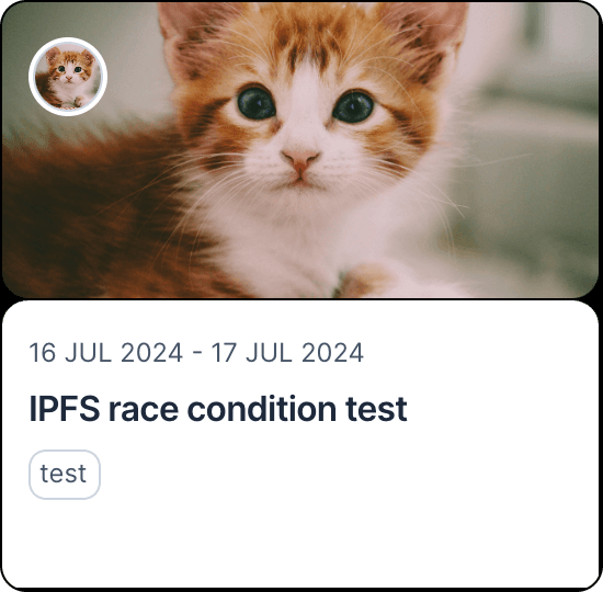 IPFS race condition test