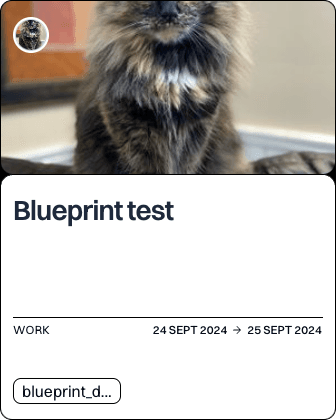 Blueprint test