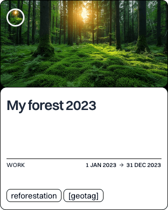 My forest 2023