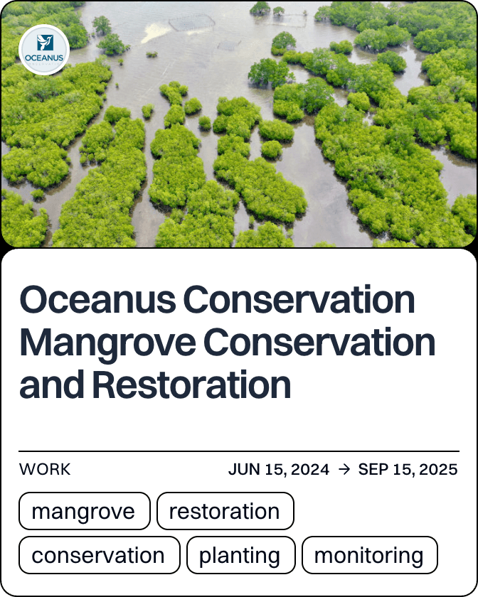 Oceanus Conservation Mangrove Conservation and Restoration