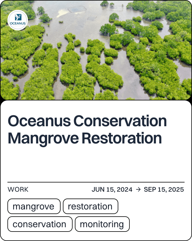 Oceanus Conservation Mangrove Restoration