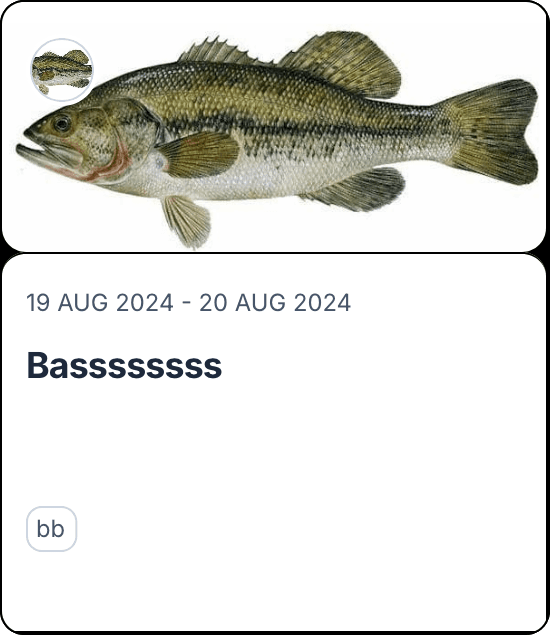 Bassssssss